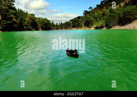 Green Loch, Glenmore, Escocia Foto de stock