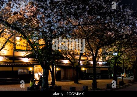 Kyoto, Japón - 16 de abril de 2019: Gion en primavera flor de cerezo durante la noche oscura y personas sentadas por árboles iluminados y edificios Foto de stock