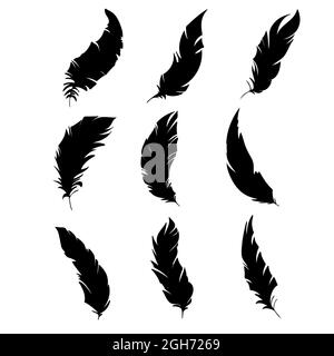 Pluma De Aves. Silueta De Plumas Negras Para Conjunto De Vectores De  Logotipo Ilustración del Vector - Ilustración de icono, vuelo: 229829607