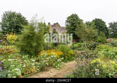 El Helmsley walled garden