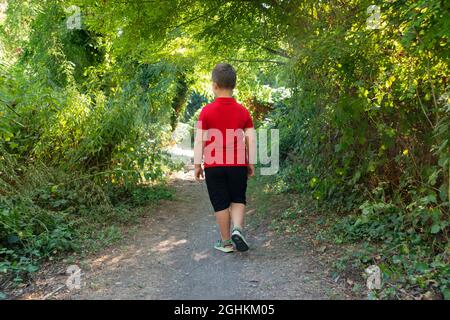 Vista trasera de Boy pasear en el bosque Foto de stock