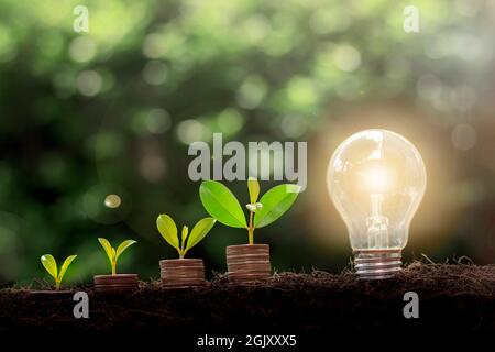 Bombilla de ahorro de energía y el árbol creciendo en pilas de monedas en  el fondo de la naturaleza Fotografía de stock - Alamy