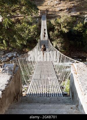 Cuerda colgante puente colgante con vacas - Nepal