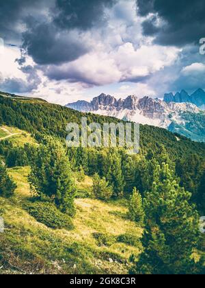Italia, Tirol del Sur, Brixen, Valle de Vilnoess, con vistas a los alces con el grupo Geisler en el fondo Foto de stock
