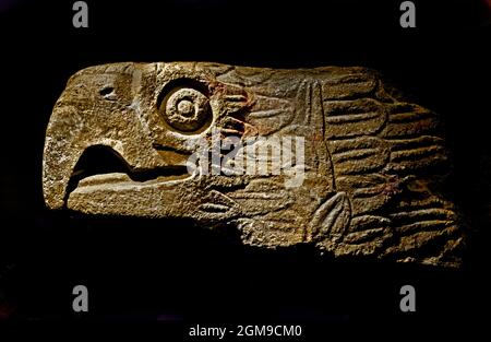 Escultura de piedra de la cabeza de un Caballero Águila Azteca en el Museo  del Templo Mayor, Ciudad de México Fotografía de stock - Alamy