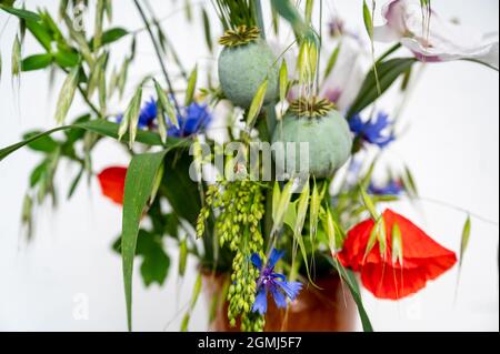 Ramo fresco de pradera y flor de campo de verano (amapola, cornflower, avena, hierba) y planta en jarrón sobre fondo blanco, primer plano.