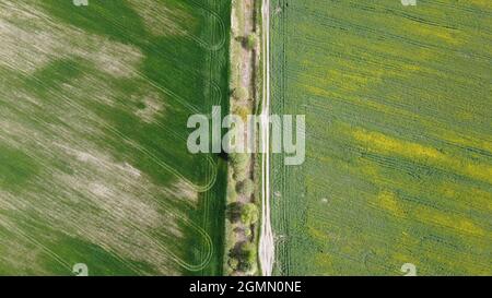Camino de tierra a lo largo del canal de la melitación abandonada. Terreno agrícola, vista aérea. Foto de stock
