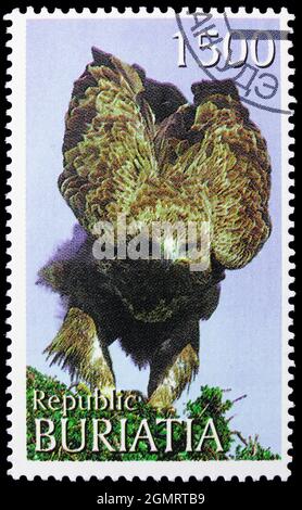 MOSCÚ, RUSIA - 6 DE NOVIEMBRE de 2019: Sello postal impreso en Cenicillas muestra Falcon, Buriatia Rusia serie, alrededor de 1997