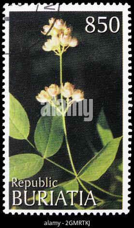 MOSCÚ, RUSIA - 6 DE NOVIEMBRE de 2019: Sello postal impreso en Cenicillas Shows Flowers, serie Buriatia Russia, alrededor de 1997