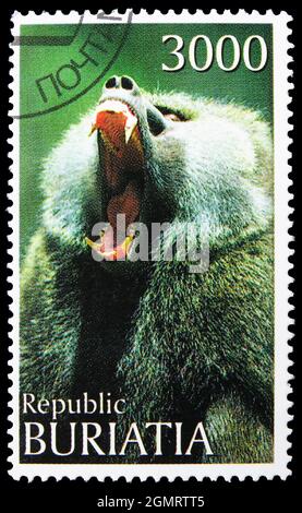 MOSCÚ, RUSIA - 6 DE NOVIEMBRE de 2019: Sello postal impreso en Cinderellas Shows Monkey, serie Buriatia Russia, alrededor de 1997