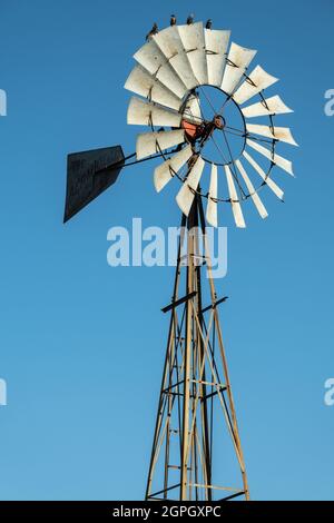 Molino de viento para extracción de aguas subterráneas 18 metros