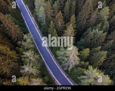 Un alto ángulo de vista de carretera pasando a través del bosque