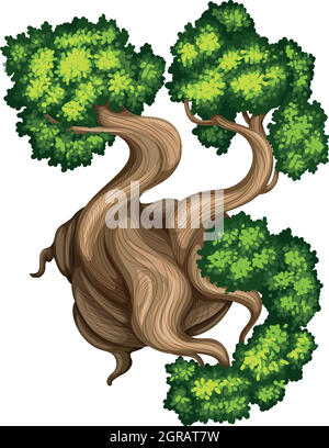 Vista superior de un árbol de pino de cerda Ilustración del Vector