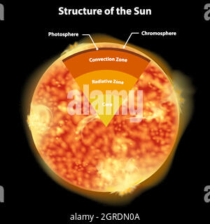 Ilustración vectorial del diagrama de estructura del Sol Imagen Vector