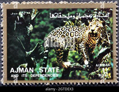 Sello de franqueo cancelado impreso por Ajman, que muestra Leopard (Panthera pardus), alrededor de 1973.