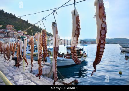 Pulpos en gancho, puerto de Gythion, Grecia Foto de stock