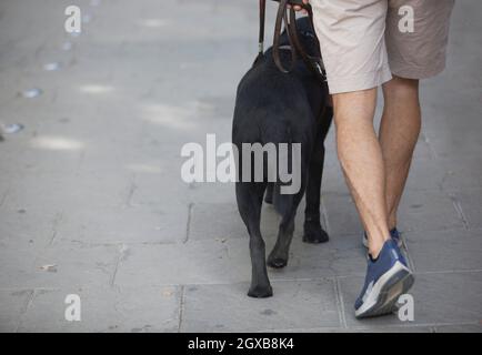 Hombre ciego joven caminando con guía de perro negro. Enfoque selectivo.