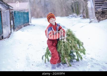 Alegre niño con sonrisa lleva un árbol de Navidad durante una casa de decoración nevada para la noche de Navidad a lo largo de un camino rural nevado. Preparándose para el nuevo año Foto de stock