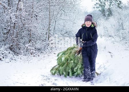 Familia, vacaciones de invierno y la gente concepto. Niño está tirando de un viejo árbol de Navidad de los bosques en la nieve a casa para la noche de Navidad a lo largo de carretera nevada. P Foto de stock