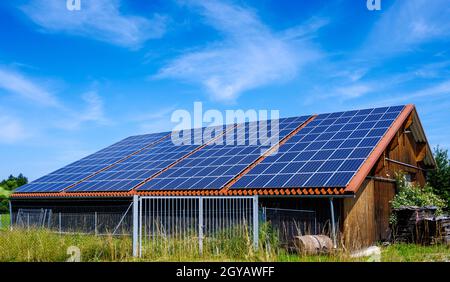 Energía verde con colectores solares en el tejado de un edificio agrícola Foto de stock