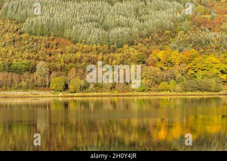Stuckivoulich, Reino Unido. 15th Oct, 2021. En la foto: Los primeros colores del otoño comienzan a aparecer en el lago Long en Arrochar. Crédito: Rico Dyson/Alamy Live News Foto de stock
