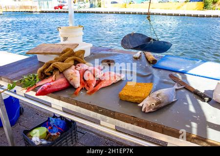 Curacao Island Fish Market En Willemstad, Curacao, Holanda Foto de stock