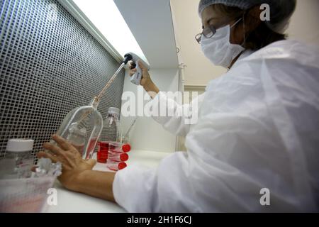 salvador, bahia / brasil - 18 de enero de 2017: Se ve a la gente manipulando muestras de laboratorio de medicamentos de la universidad pública de la ciudad de Salvador. *** Foto de stock