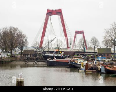 Vea a través del puerto antiguo hasta el puente Willems Bridge con Seagull en primer plano Foto de stock