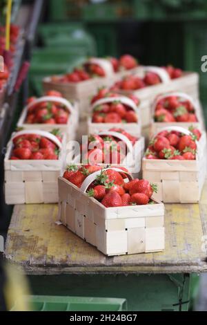 Becher mit frischen Erdbeeren auf dem Wochenmarkt in Gmunden - Erdbeeren sind sehr gesund und haben kaum Fette und Kohlehydrate - Copas de paja fresca Foto de stock