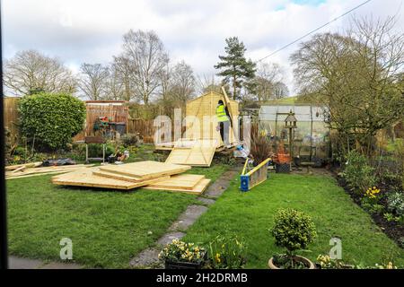 Trabajadores de Solid Sheds Ltd erigiendo un cobertizo de madera en un jardín doméstico, Stoke on Trent, Staffordshire, Inglaterra, Reino Unido. Foto número 1 en una serie de 8 Foto de stock