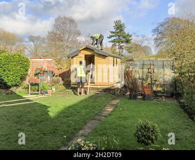 Trabajadores de Solid Sheds Ltd erigiendo un cobertizo de madera en un jardín doméstico, Stoke on Trent, Staffordshire, Inglaterra, Reino Unido. Foto número 8 en una serie de 8 Foto de stock