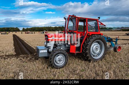 Tractor Massey Ferguson con surcos en corte de arado en campo de rastrojo, East Lothian, Escocia, Reino Unido Foto de stock