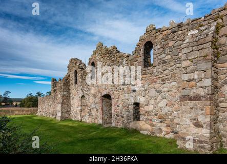 Las ruinas de Deer Abbey, un antiguo monasterio cisterciense cerca de Mintlaw, Buchan, Aberdeenshire, Escocia Foto de stock