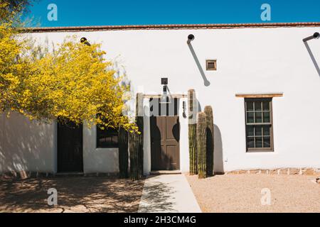 Las paredes de adobe blanco de una casa en Tucson, Arizona, con cactus en la puerta principal Foto de stock
