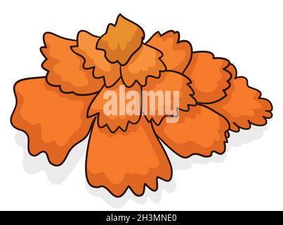  Hermosa cempasuchil o Marigold flor en estilo de dibujos animados y contornos, sobre fondo blanco Imagen Vector de stock