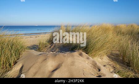 Duna en la playa de Warnemuende en el Báltico alemán Costa del mar Foto de stock