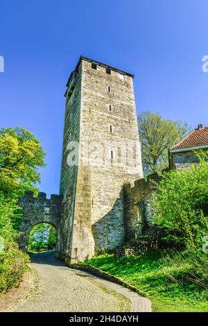 Bergfried, Burg, Weserbergland Rinteln Schaumburg, Niedersachsen, Deutschland Foto de stock