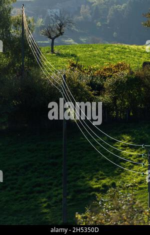 Líneas eléctricas en la naturaleza, Auvernia Ródano Alpes, Francia Foto de stock