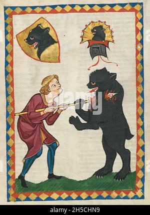 CODEX MANESSE Un manuscrito alemán de principios a mediados del siglo 14th que contiene canciones e ilustra la vida medieval.A caza de osos. Foto de stock