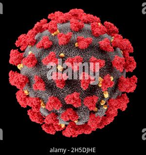 Visualización del virus SARS-CoV-2 (COVID19). Ilustración del patógeno del coronavirus bajo un microscopio. Aislado sobre fondo negro. 3d rende Foto de stock
