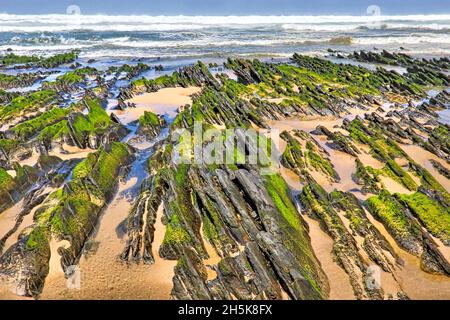 Formaciones rocosas irregulares cubiertas de algas, saliendo de la arena en la playa a lo largo de la costa del océano Foto de stock