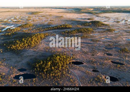 Una vista aérea de los lagos de pantanos oscuros y las islas forestales durante un amanecer otoñal por la mañana en la naturaleza estonia. Filmado en el Parque Nacional Soomaa