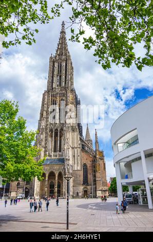 Ulm, Baden-Württemberg, Alemania: Vista occidental de la mundialmente famosa catedral con el campanario más alto del mundo, una catedral que data de 1377. Foto de stock