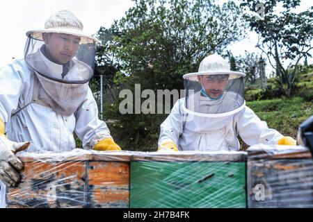 Dos apicultores en trajes protectores arreglan paneles de panal de abeja en el campo Foto de stock