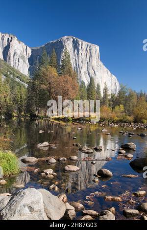 Parque Nacional Yosemite, California, Estados Unidos. Vista desde Valley View a lo largo del tranquilo río Merced hasta la icónica cara suroeste de El Capitan, en otoño.