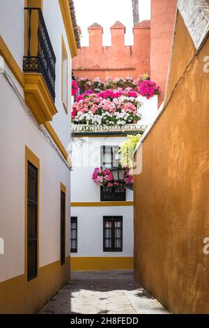 Uno de los rincones más hermosos del Barrio de Santa Cruz en Sevilla, España. Balcones decorados con flores y paredes coloridas. Foto de stock