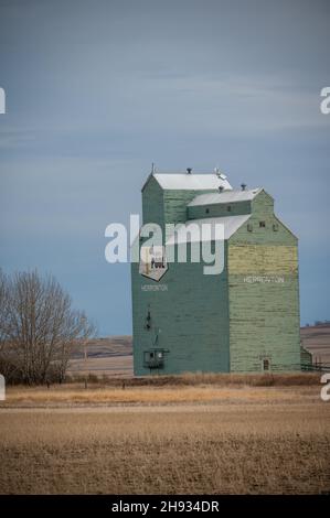 Herronton, Alberta - 12 de noviembre de 2021: Elevador de grano de la antigua Alberta Wheat Pool de Herronton. Foto de stock