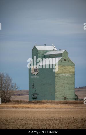 Herronton, Alberta - 12 de noviembre de 2021: Elevador de grano de la antigua Alberta Wheat Pool de Herronton. Foto de stock