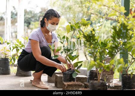 Mujer trabajando plantando el árbol de semillero