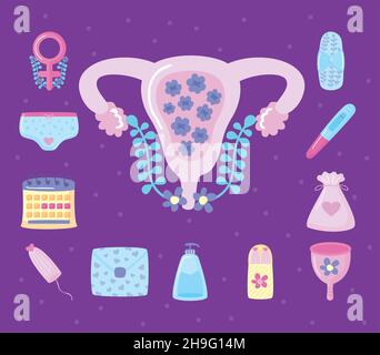 doce artículos del período de la menstruación Ilustración del Vector